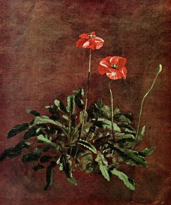 Study for Poppies by John Constable